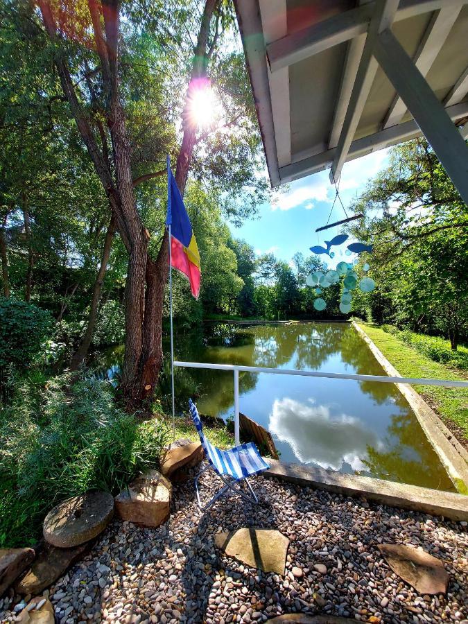 Fisherman'S Cottage Качика Екстер'єр фото